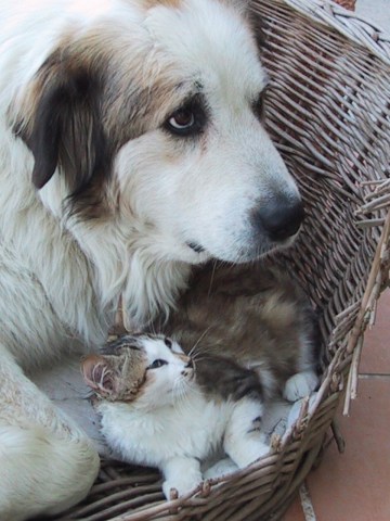 med_In Sicherheit.jpg (360 x 480)